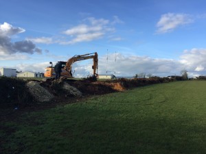 Hedge Removal Underway